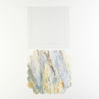 Коробка для печенья, кондитерская упаковка с пластиковой крышкой, «Камень», 18 х 18 х 3 см 7155195 - фото 13499194