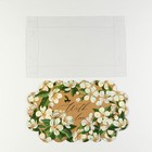 Коробка кондитерская с PVC крышкой «Пчёлка», 10,5 х 21 х 3 см - Фото 5