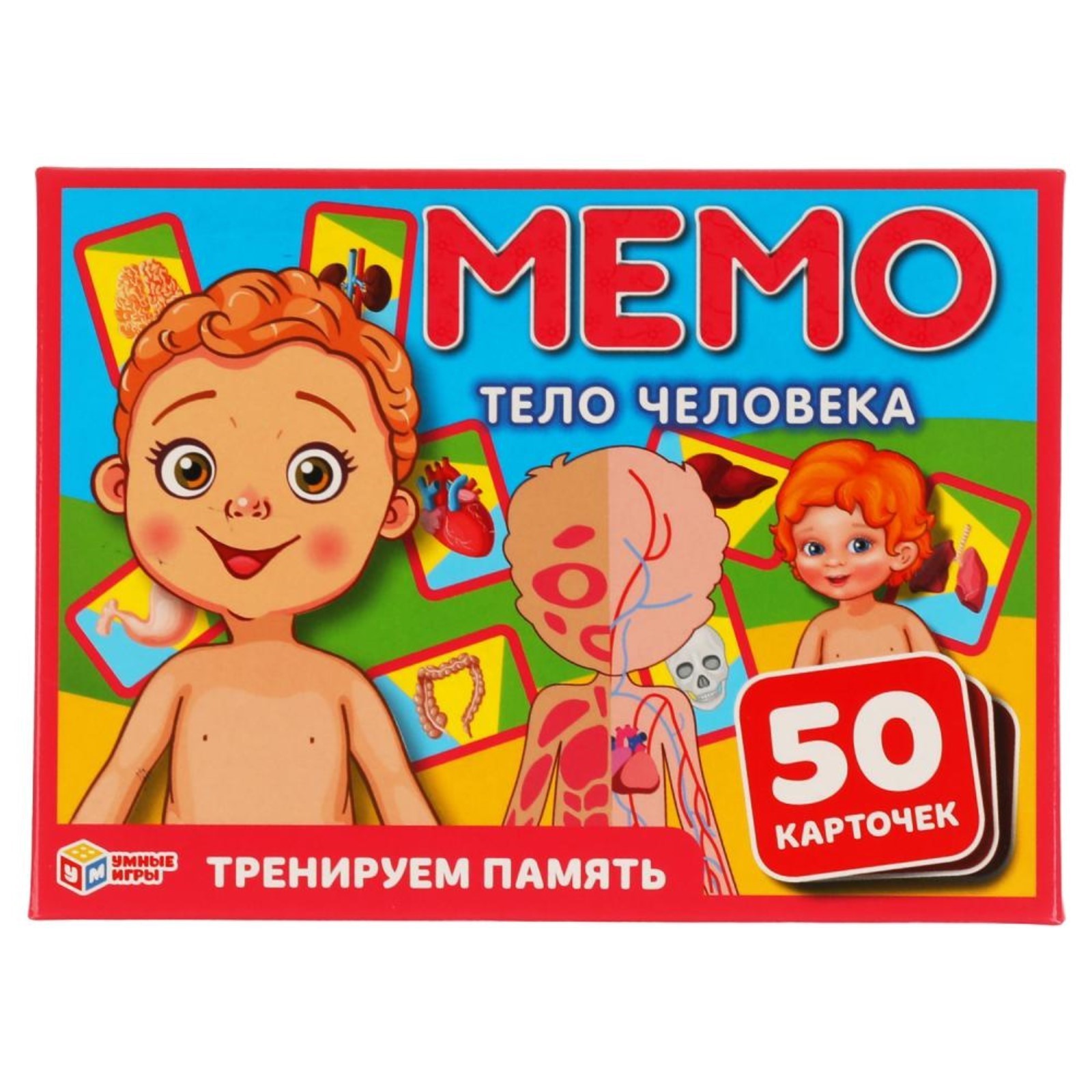 Карточная игра Мемо «Тело человека», 50 карточек (7517040) - Купить по цене  от 166.00 руб. | Интернет магазин SIMA-LAND.RU