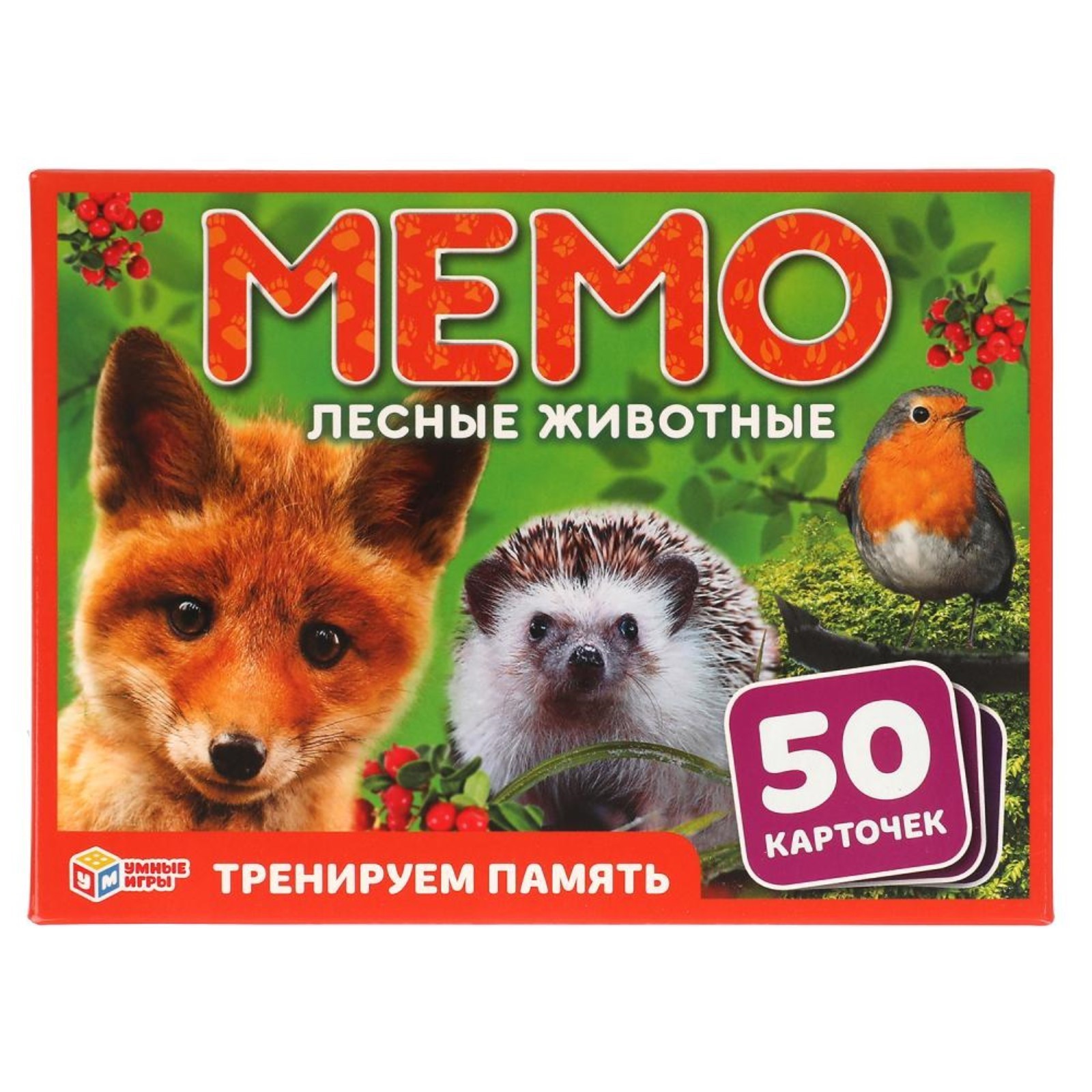 Карточная игра Мемо «Лесные животные», 50 карточек (7517052) - Купить по  цене от 125.00 руб. | Интернет магазин SIMA-LAND.RU