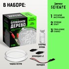 Набор для опытов «Оловянное дерево» - Фото 2