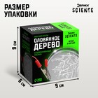 Набор для опытов «Оловянное дерево» - Фото 3