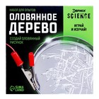 Набор для опытов «Оловянное дерево» - Фото 7