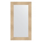 Зеркало в багетной раме, золотые дюны 90 мм, 60х110 см - фото 295370111