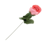 Мыльные лепестки "Роза" в подарочной плёнке, розовая 4,5х4,5х38 см - Фото 2