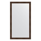 Зеркало напольное в багетной раме, бронзовая лава 90 мм, 111x201 см - Фото 1