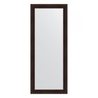 Зеркало напольное в багетной раме, темный прованс 99 мм, 84x204 см - Фото 1