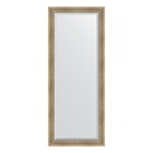 Зеркало напольное с фацетом в багетной раме, серебряный акведук 93 мм, 82x202 см - Фото 1