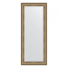 Зеркало напольное с фацетом в багетной раме, виньетка античная бронза 109 мм, 85x205 см - Фото 1