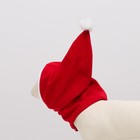 Шапочка новогодняя, флис, XS-S (ОМ 22-26, высота 20 см), бело-красная - фото 9894990