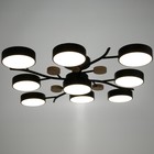 Люстра 1316/9BK LED 216Вт 3000-6000К черный 87х87х17 см BayerLux - Фото 2