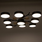 Люстра 1316/9BK LED 216Вт 3000-6000К черный 87х87х17 см BayerLux - Фото 3