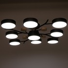 Люстра 1316/9BK LED 216Вт 3000-6000К черный 87х87х17 см BayerLux - Фото 4