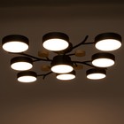 Люстра 1316/9BK LED 216Вт 3000-6000К черный 87х87х17 см BayerLux - Фото 5