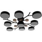 Люстра 1316/9BK LED 216Вт 3000-6000К черный 87х87х17 см BayerLux - Фото 8