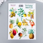 Набор стикеров "Botany exotic" 10 шт - Фото 1