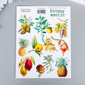 Набор наклеек Botany exotic, 10 шт. 7149990