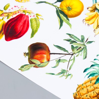 Набор наклеек Botany exotic, 10 шт.