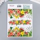 Набор стикеров "Botany exotic" 3 шт 7149998 - фото 14582491