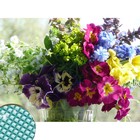 УЦЕНКА Алмазная мозаика «Букет» 22×32 см, холст, пинцет, ёмкость - Фото 1