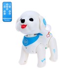 Робот собака «Милый щенок», программируемый, на пульте управления, интерактивный: реагирует на хлопки, звук, свет, на батарейках, на русском языке - фото 6282829