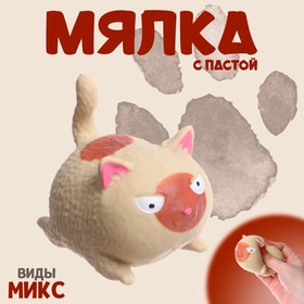 Мялка «Котик» с пастой, цвета МИКС