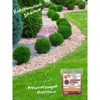 Каменная крошка Яшма красная «Рецепты Дедушки Никиты», фракция 10-20, 1 кг - Фото 5