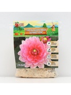 Георгина Декоративная «Берлинер Клене», клубелуковица в упаковке, р-р I, 1 шт. - Фото 5