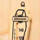 Термометр-гигрометр "Ковш", деревянный - Фото 8