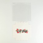 Коробка для печенья, кондитерская упаковка с PVC крышкой, «Просто улыбайся», 15 х 15 х 3 см - фото 21412456