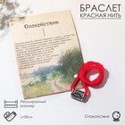 Браслет-амулет на нити «Красная нить» руна спокойствие, красный с чернёным серебром, 30 см - Фото 2