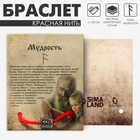Браслет-амулет на нити «Красная нить» руна мудрость, красный с чернёным серебром, 30 см - Фото 1