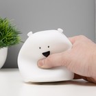 Фигурка световая RISALUX «Антистресс мякиш мишка», LED-ночник, RGB, от батареек 3×ААА, 9×9×10.5 см - Фото 9