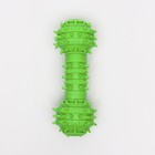 Игрушка-гантель шипастая, 14,5 см, зелёная - Фото 1