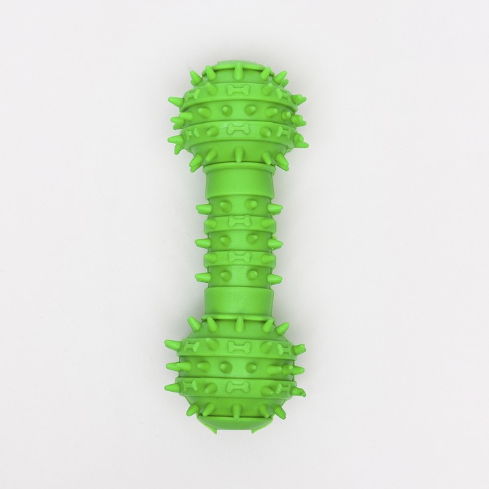 Игрушка-гантель шипастая, 14,5 см, зелёная - Фото 1