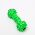 Игрушка-гантель шипастая, 14,5 см, зелёная - фото 6500387