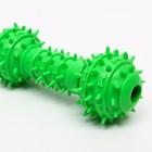 Игрушка-гантель шипастая, 14,5 см, зелёная - фото 21412890