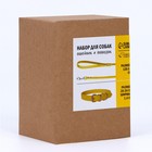 Комплект ошейник (26-34×1.4 см) и поводок (120×1 см) из экокожи, жёлтый  (артикул 7358651)  большой выбор товаров оптом и в розницу по низким ценам с доставкой