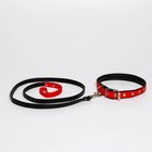 Комплект ошейник (58х2.5 см) и поводок (130х1.4 см) из экокожи, красный с чёрным - Фото 3