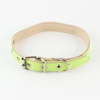 Комплект ошейник (58х2.5 см) и поводок (130х1.4 см) из экокожи, салатовый с бежевым - фото 21413184