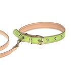 Комплект ошейник (58х2.5 см) и поводок (130х1.4 см) из экокожи, салатовый с бежевым - фото 21413187