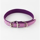 Комплект ошейник (58х2.5 см) и поводок (130х1.4 см) из экокожи, сиреневый с фиолетовым - фото 21413192