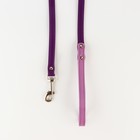 Комплект ошейник (58х2.5 см) и поводок (130х1.4 см) из экокожи, сиреневый с фиолетовым - фото 21413193