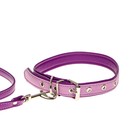 Комплект ошейник (58х2.5 см) и поводок (130х1.4 см) из экокожи, сиреневый с фиолетовым - фото 21413195