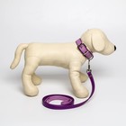 Комплект ошейник (58х2.5 см) и поводок (130х1.4 см) из экокожи, сиреневый с фиолетовым - фото 21413196