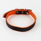 Комплект ошейник (58х2.5 см) и поводок (130х1.4 см) из экокожи, чёрный с оранжевым - фото 23767475