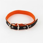 Комплект ошейник (58х2.5 см) и поводок (130х1.4 см) из экокожи, чёрный с оранжевым - фото 21413200