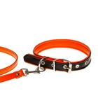 Комплект ошейник (58х2.5 см) и поводок (130х1.4 см) из экокожи, чёрный с оранжевым - фото 21413203
