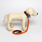 Комплект ошейник (58х2.5 см) и поводок (130х1.4 см) из экокожи, чёрный с оранжевым - фото 21413204