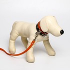 Комплект ошейник (58х2.5 см) и поводок (130х1.4 см) из экокожи, чёрный с оранжевым - фото 23717837